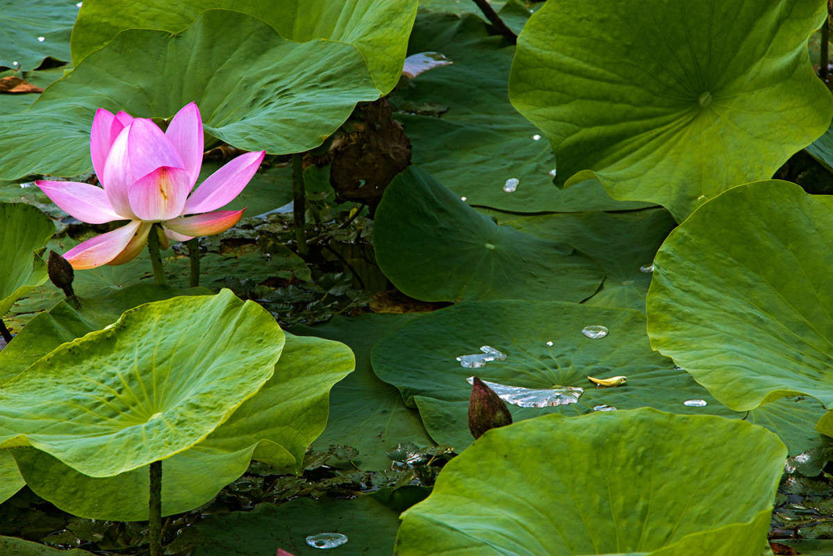 ����� ��������. ����� ���� �������� �� PhotoGeek.ru #������ ��� ������� #����� �������������� #����� ��������