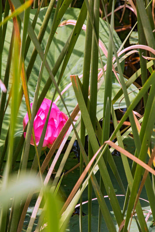 ���������... ����� ���� �������� �� PhotoGeek.ru #������ ��� ������� #����� �������������� #����� ��������