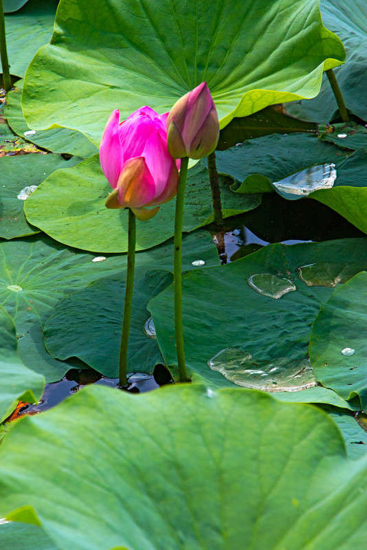 �� � ������� ����� �����... ����� ���� �������� �� PhotoGeek.ru #������ ��� ������� #����� �������������� #����� ��������