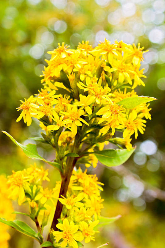 � ��������� �����. ����� ���� �������� �� PhotoGeek.ru #������ ��� ������� #����� �������������� #����� ��������