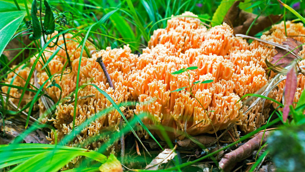 ������ �����...� ������. ����� ���� �������� �� PhotoGeek.ru #������ ��� ������� #����� �������������� #����� ��������