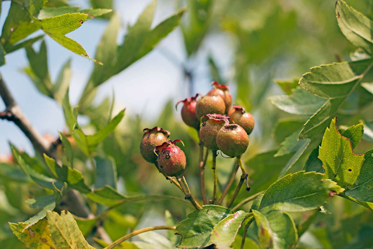 ���� �������. ����� ���� �������� �� PhotoGeek.ru #������ ��� �������