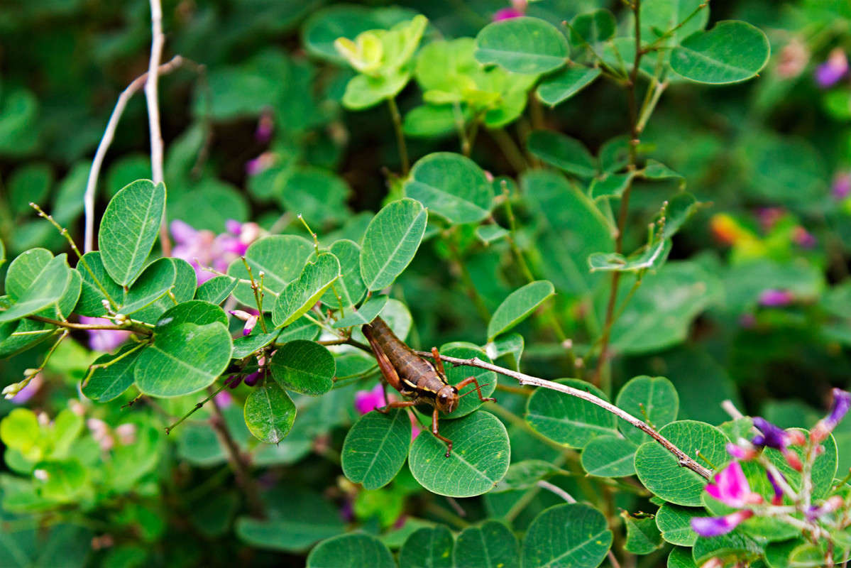 � ����� ����� ��������... ����� ���� �������� �� PhotoGeek.ru #������ ��� �������