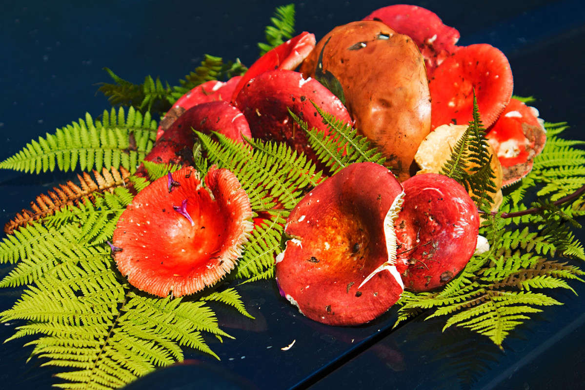 ������� ���������. ����� ���� �������� �� PhotoGeek.ru #������ ��� �������