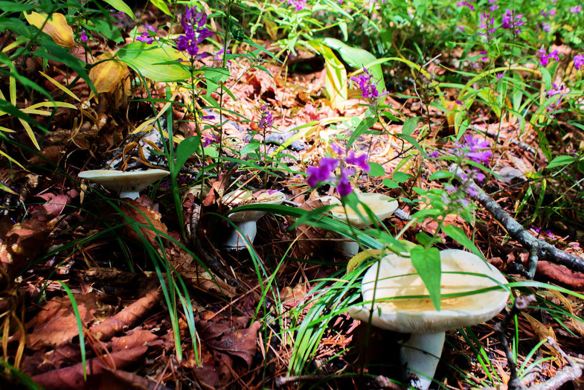 ������ � �����. ����� ���� �������� �� PhotoGeek.ru #������ ��� �������