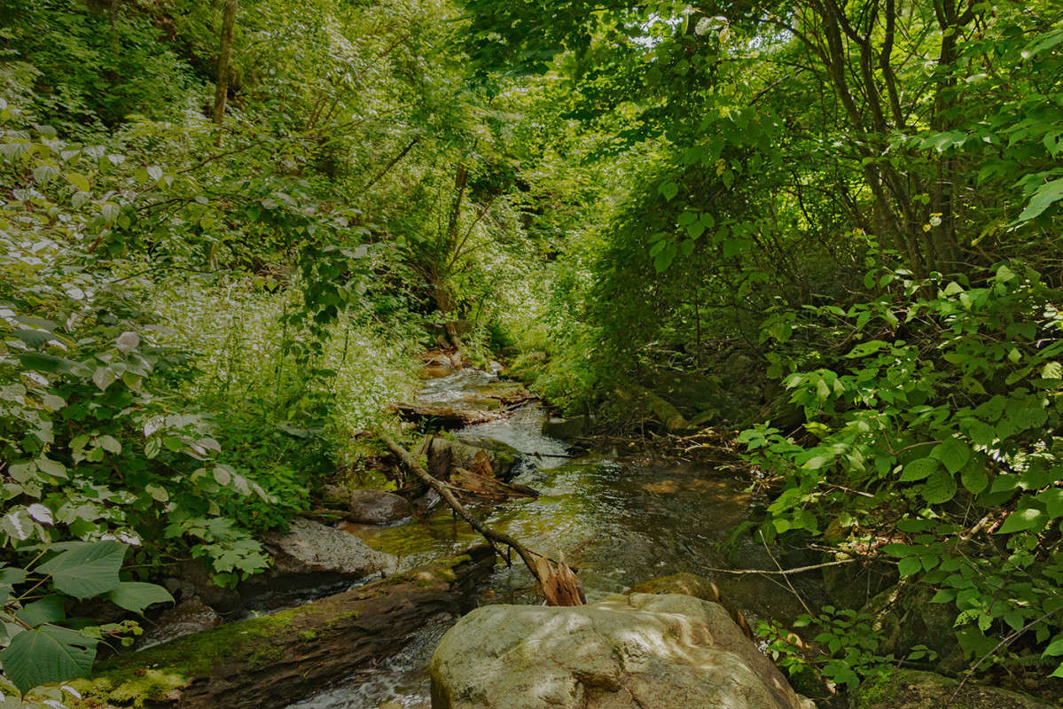 ����� �������... ����� ���� �������� �� PhotoGeek.ru #������ ��� �������