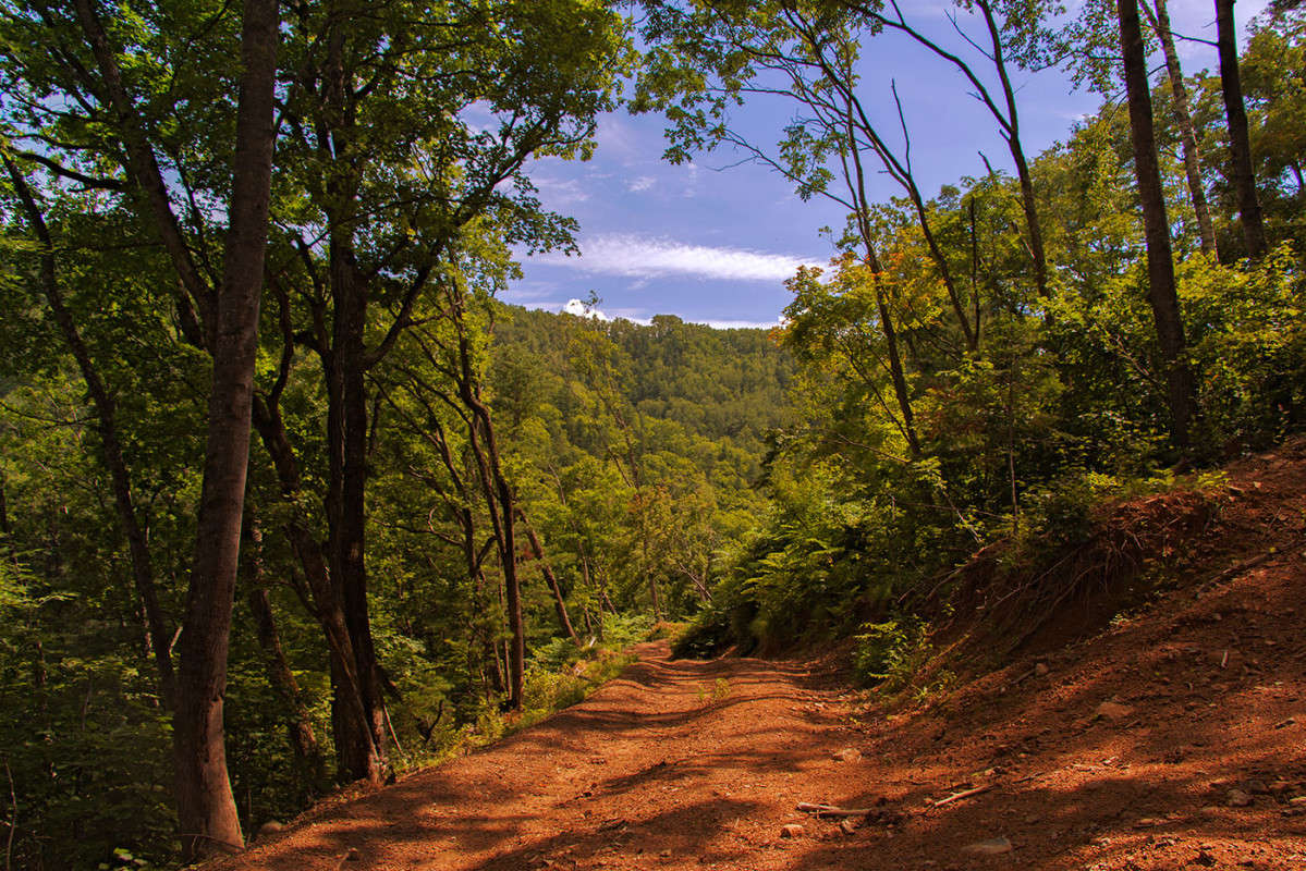 ������, ������� �� ��������. ����� ���� �������� �� PhotoGeek.ru #������ ��� ������� #�������� #���������