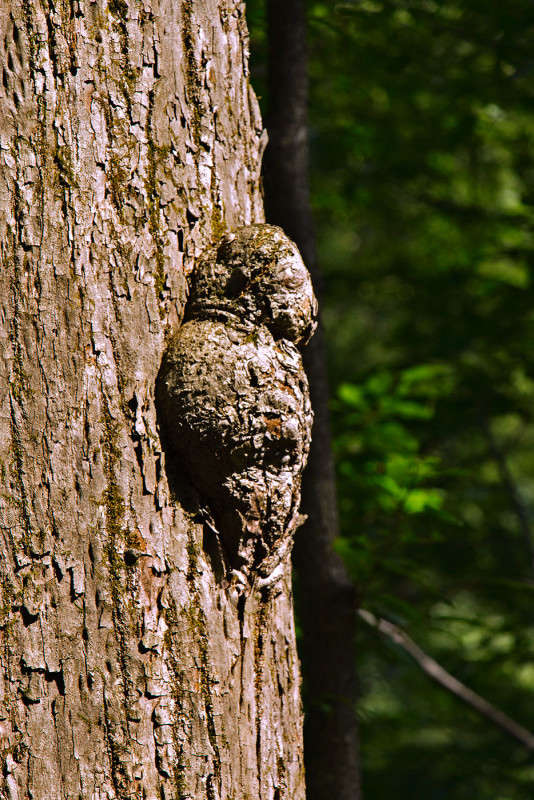 � ������� ��� �������? ����� ���� �������� �� PhotoGeek.ru #������ ��� ������� #����� �������������� #���������