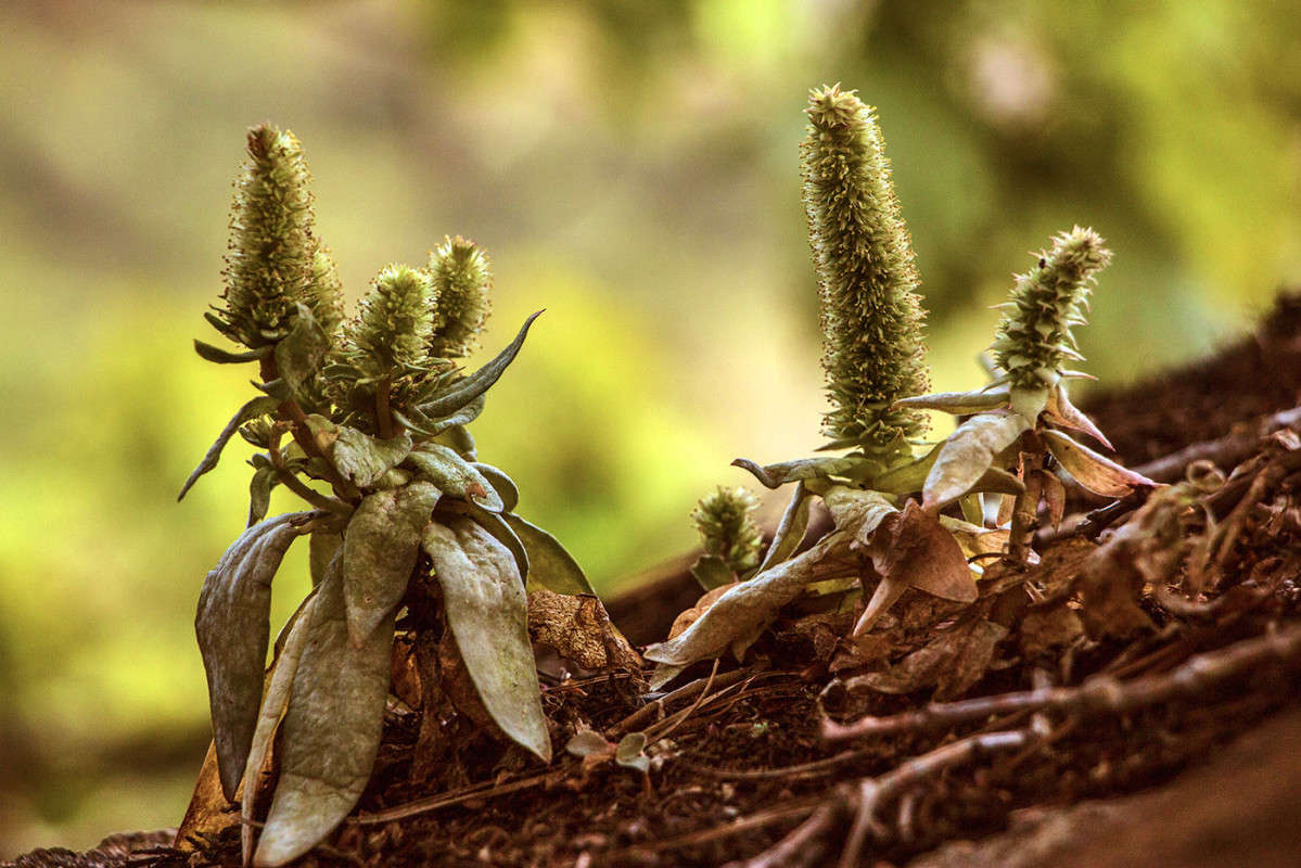 ����� �� ������. ����� ���� �������� �� PhotoGeek.ru #������ ��� ������� #����� �������������� #��������� #����� ��������