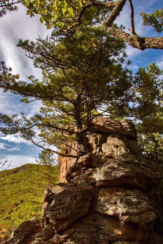 � ������� ����������... ����� ���� �������� �� PhotoGeek.ru #������ ��� �������