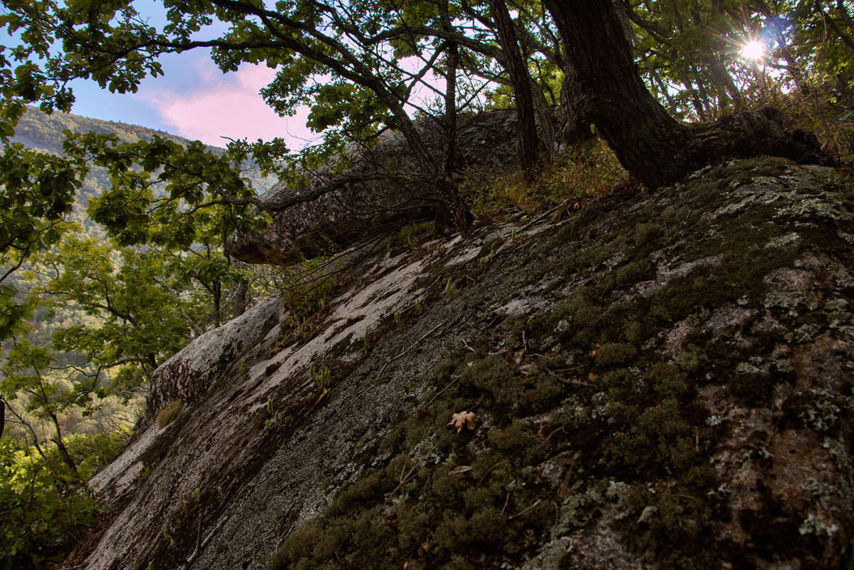 � ������� ����������... ����� ���� �������� �� PhotoGeek.ru #������ ��� �������