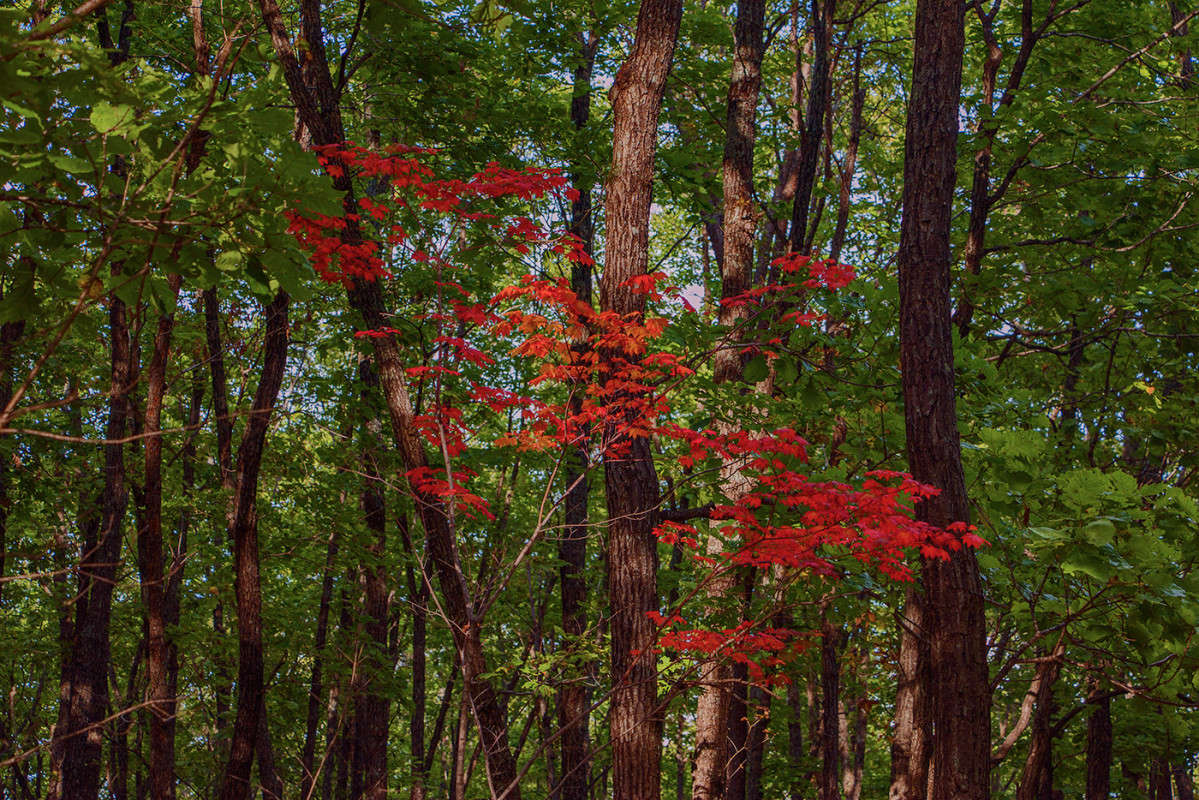 ������� ��������... ����� ���� �������� �� PhotoGeek.ru #������ ��� �������