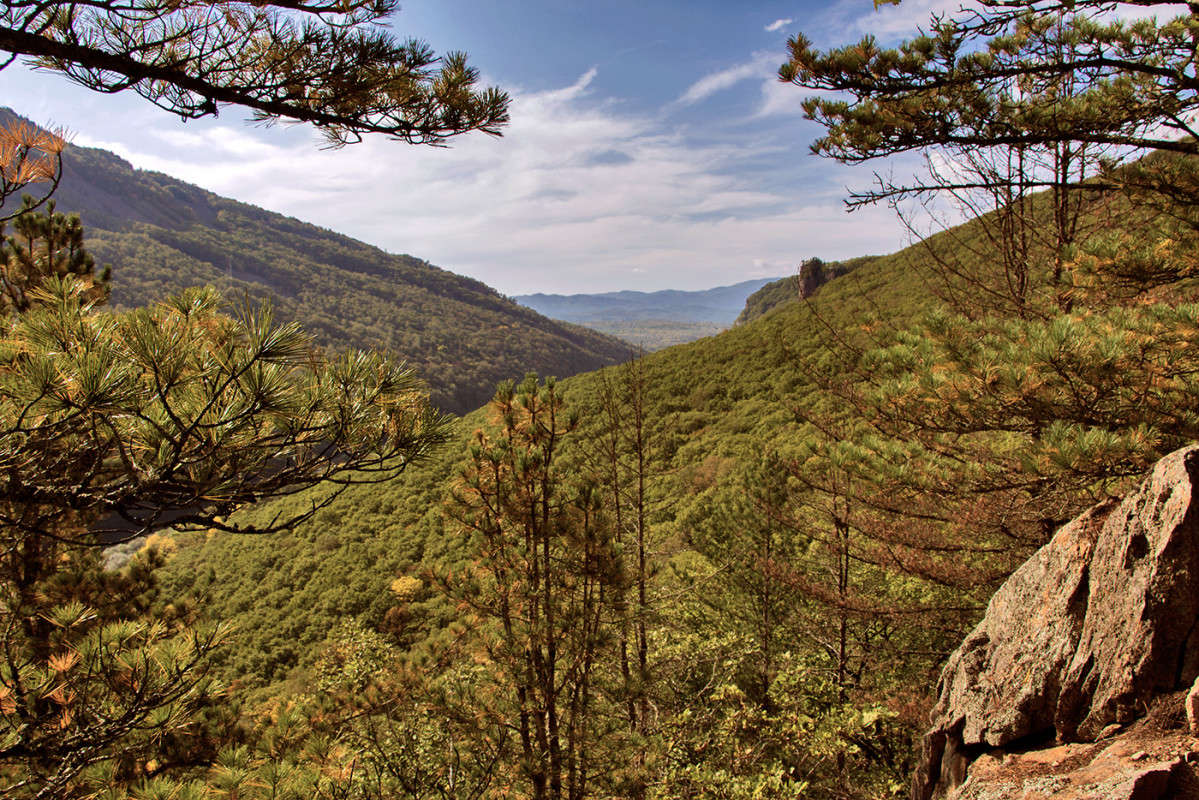 � ������� ����������... ����� ���� �������� �� PhotoGeek.ru #������ ��� �������