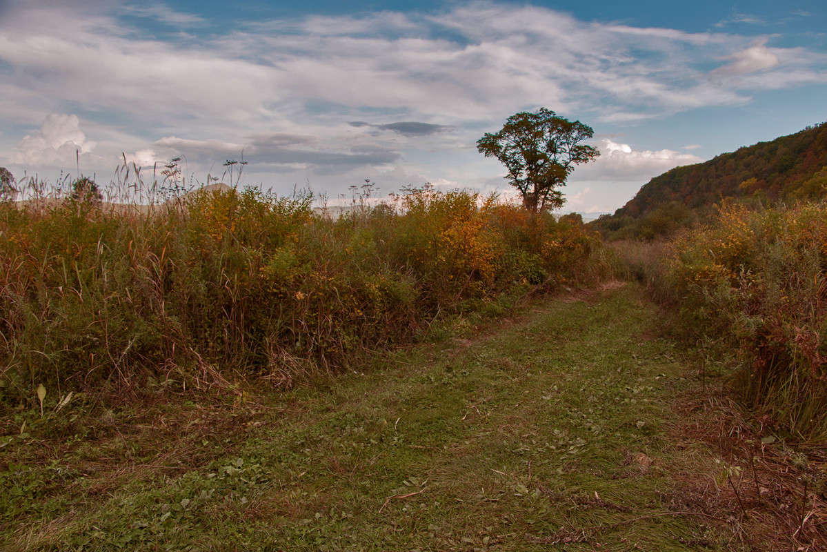 ������, ������� �� ��������... ����� ���� �������� �� PhotoGeek.ru #������ ��� �������