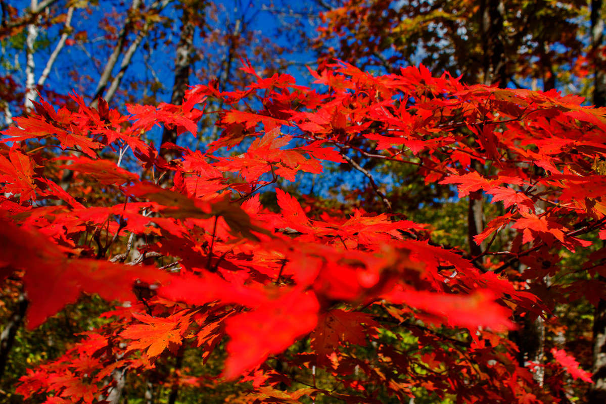 �����. �������� ������. ����� ���� �������� �� PhotoGeek.ru #������ ��� ������� #����� �������������� #����� ��������