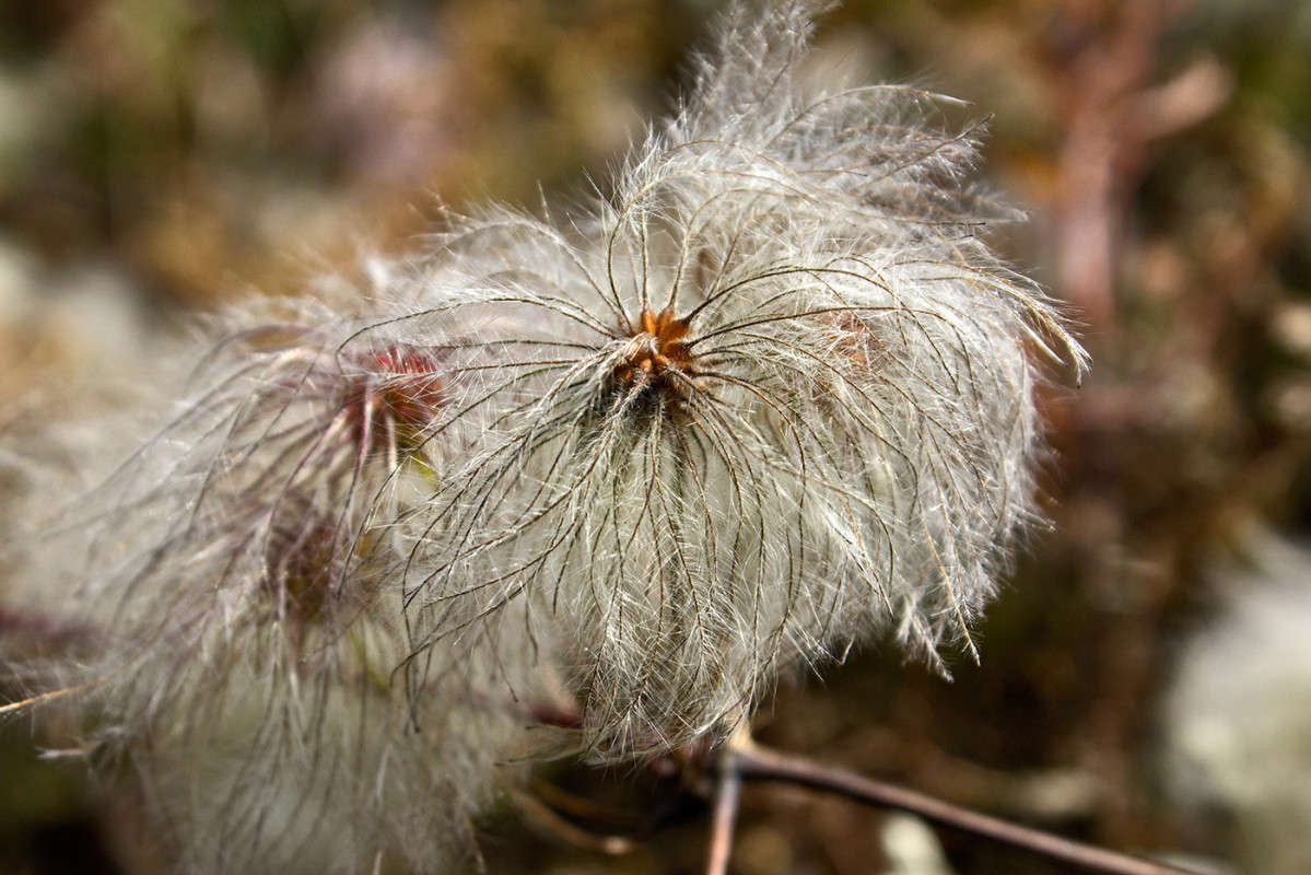 �������... ����� ���� �������� �� PhotoGeek.ru #������ ��� �������