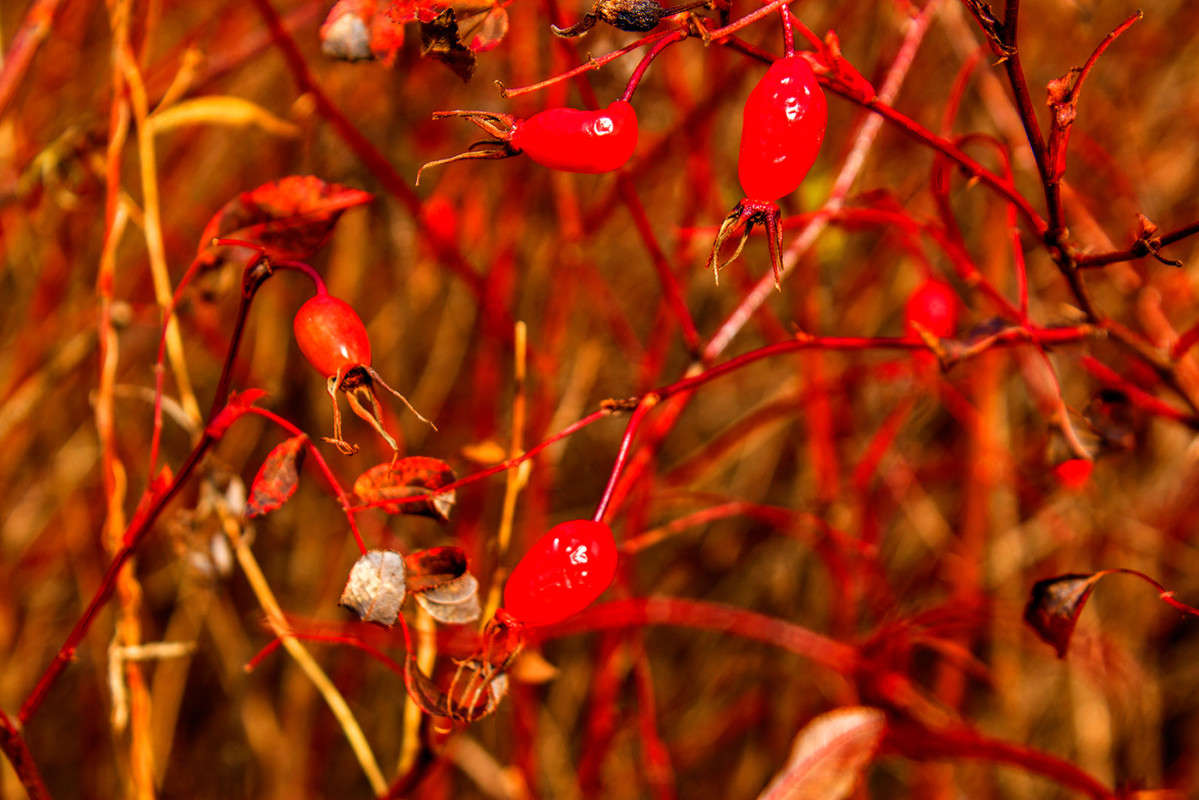 ������� � ����� ���� �������� �� PhotoGeek.ru #������ ��� �������