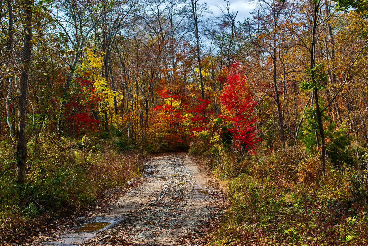 � , ������� ��, ������, ������� �� ��������:) ����� ���� �������� �� PhotoGeek.ru #������ ��� �������