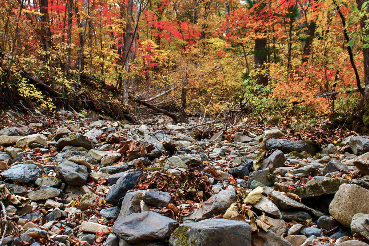 ����� � ��������... ����� ���� �������� �� PhotoGeek.ru #������ ��� �������