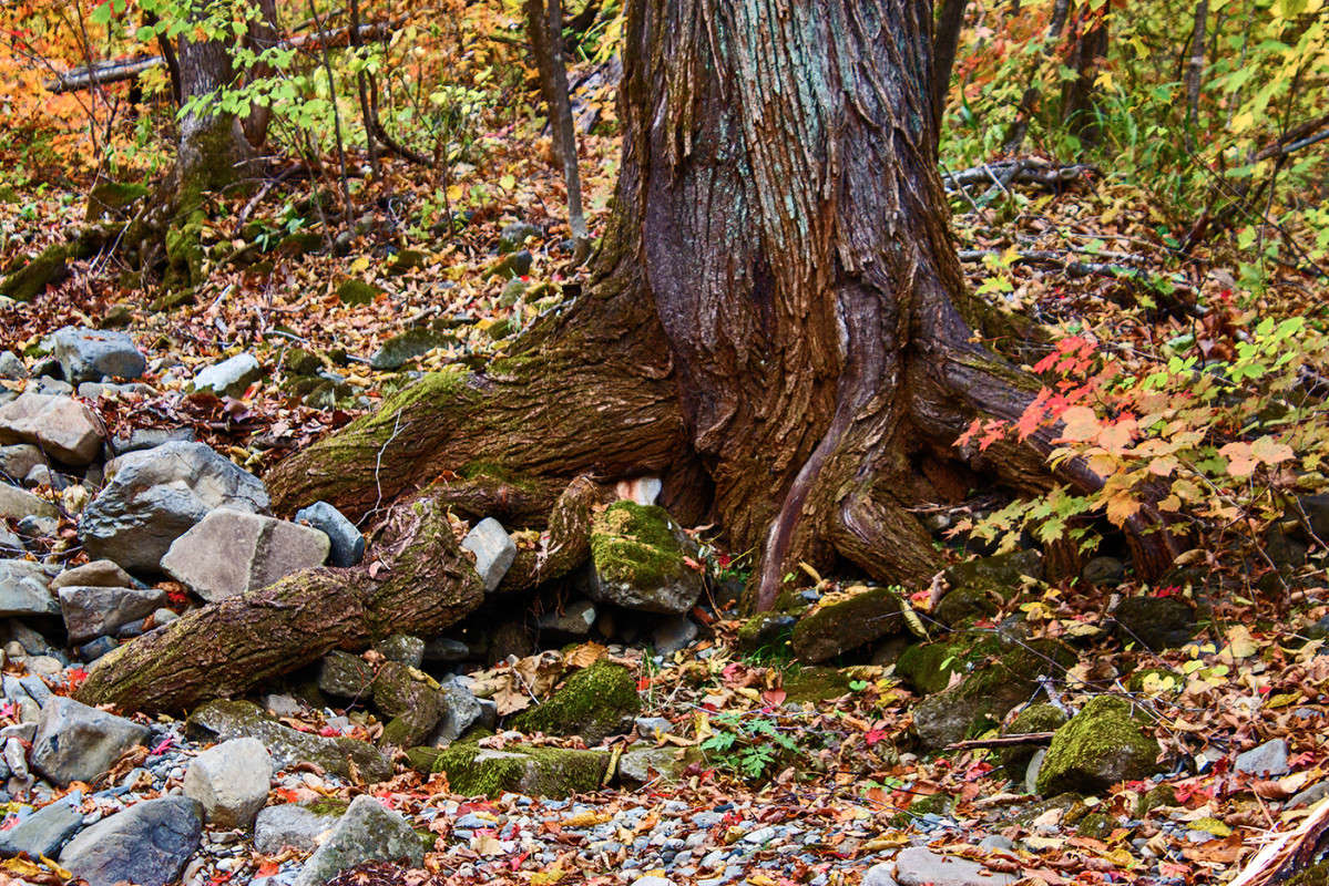 ����� � ��������... ����� ���� �������� �� PhotoGeek.ru #������ ��� �������