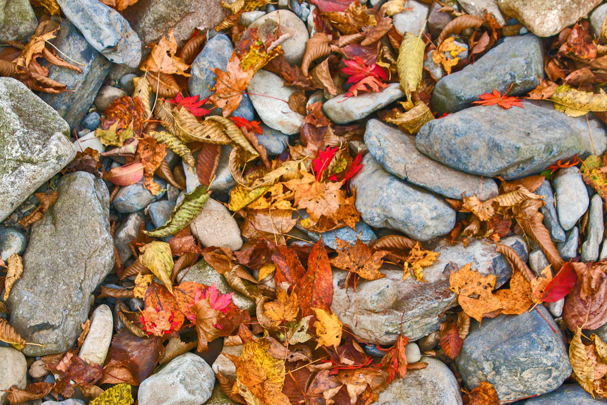 ����� � ��������... ����� ���� �������� �� PhotoGeek.ru #������ ��� �������