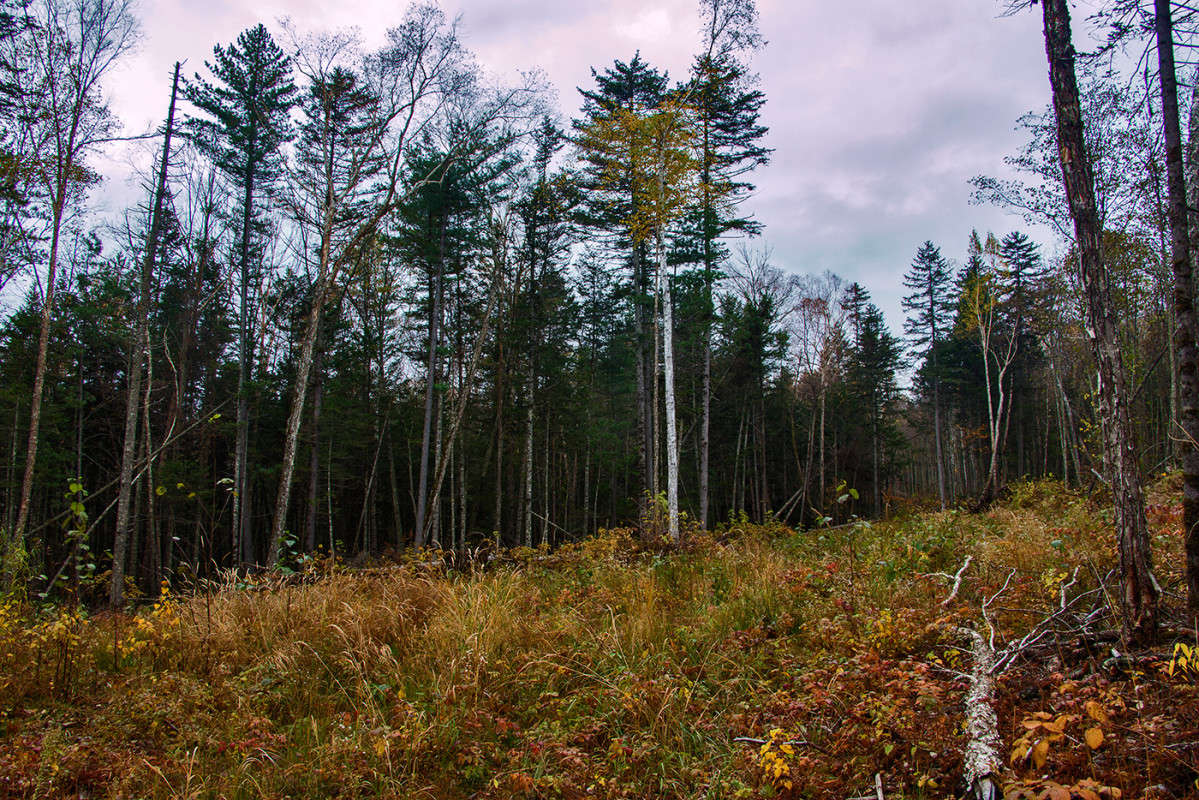 ... ����� ���� �������� �� PhotoGeek.ru #������ ��� �������