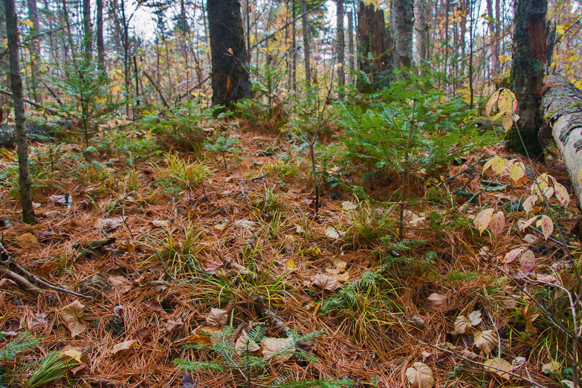 ���� �����... ����� ���� �������� �� PhotoGeek.ru #������ ��� �������