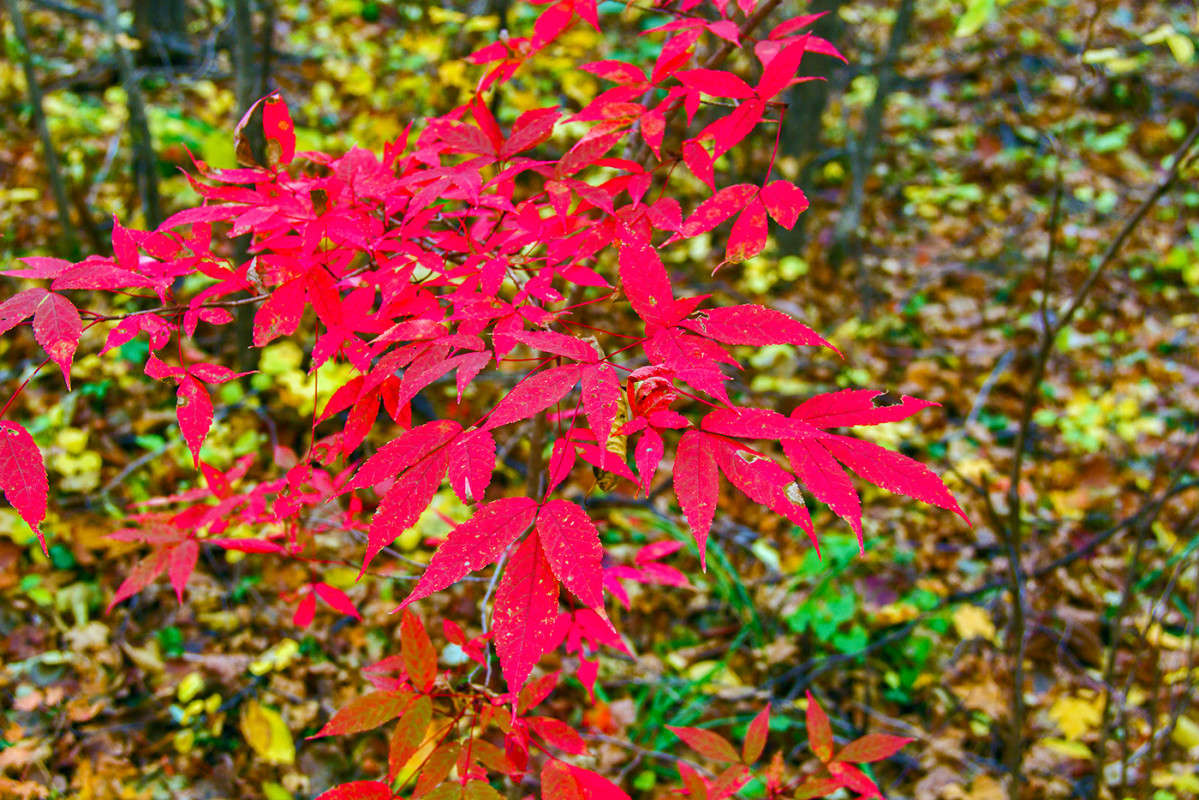 �����... ����� ���� �������� �� PhotoGeek.ru #������ ��� ������� #����� �������������� #��������� #����� ��������