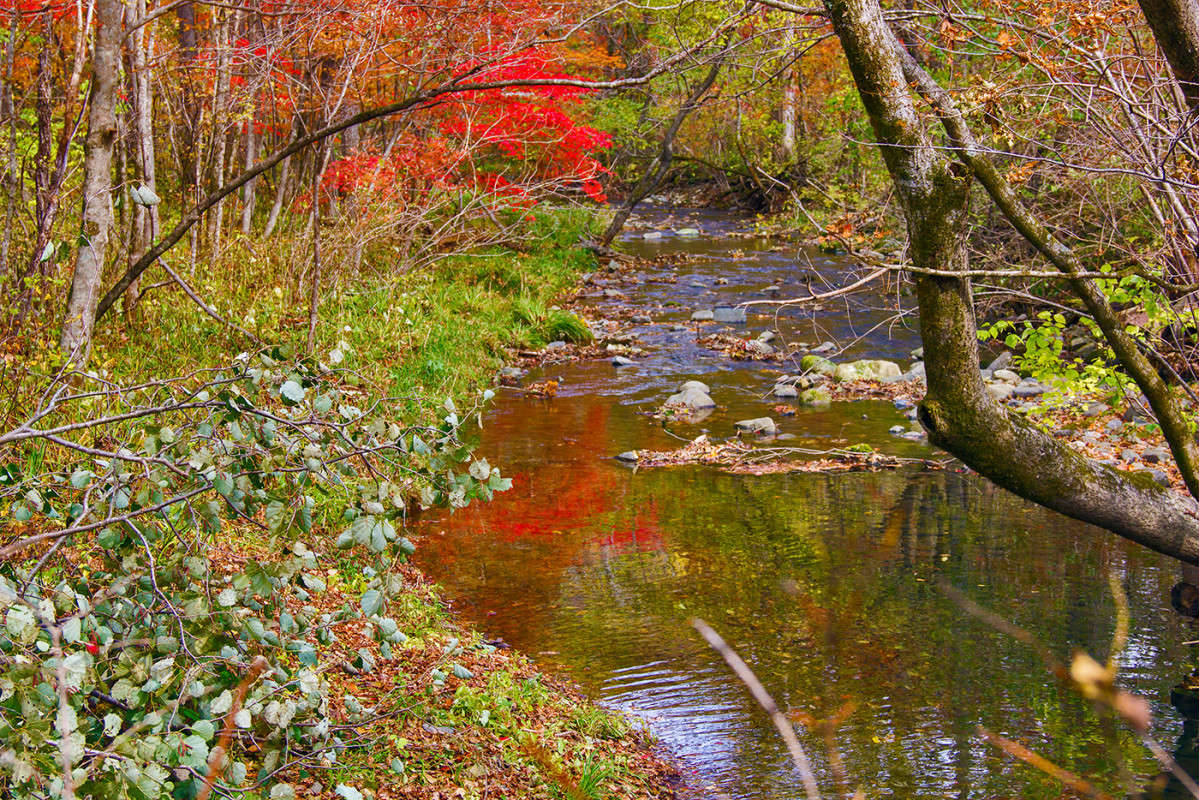 ... ����� ���� �������� �� PhotoGeek.ru #������ ��� �������