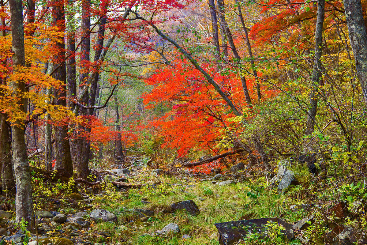 ... ����� ���� �������� �� PhotoGeek.ru #������ ��� �������