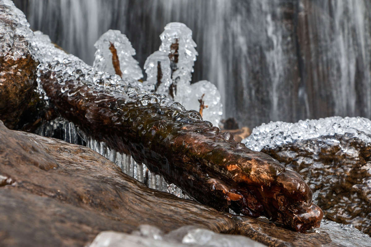 ������ ��� ����. ����� ���� �������� �� PhotoGeek.ru #������ ��� �������