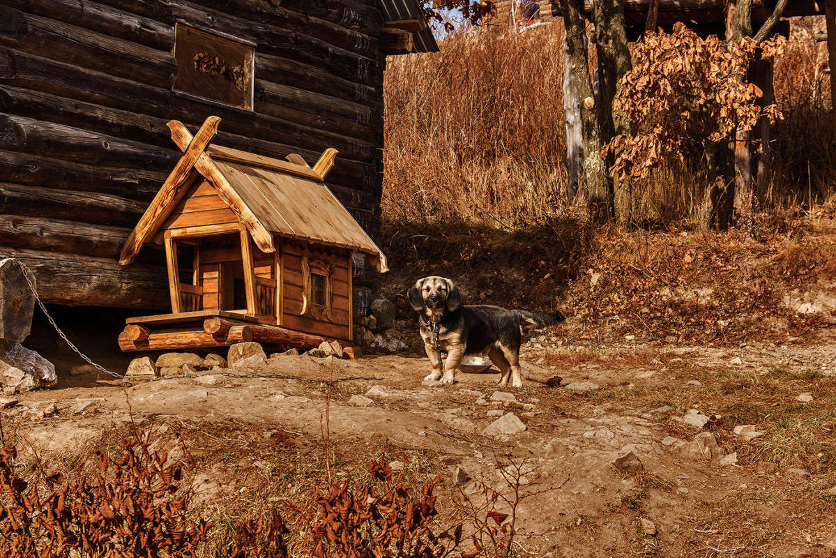 ��, ����, ������ ������... ����� ���� �������� �� PhotoGeek.ru #��������