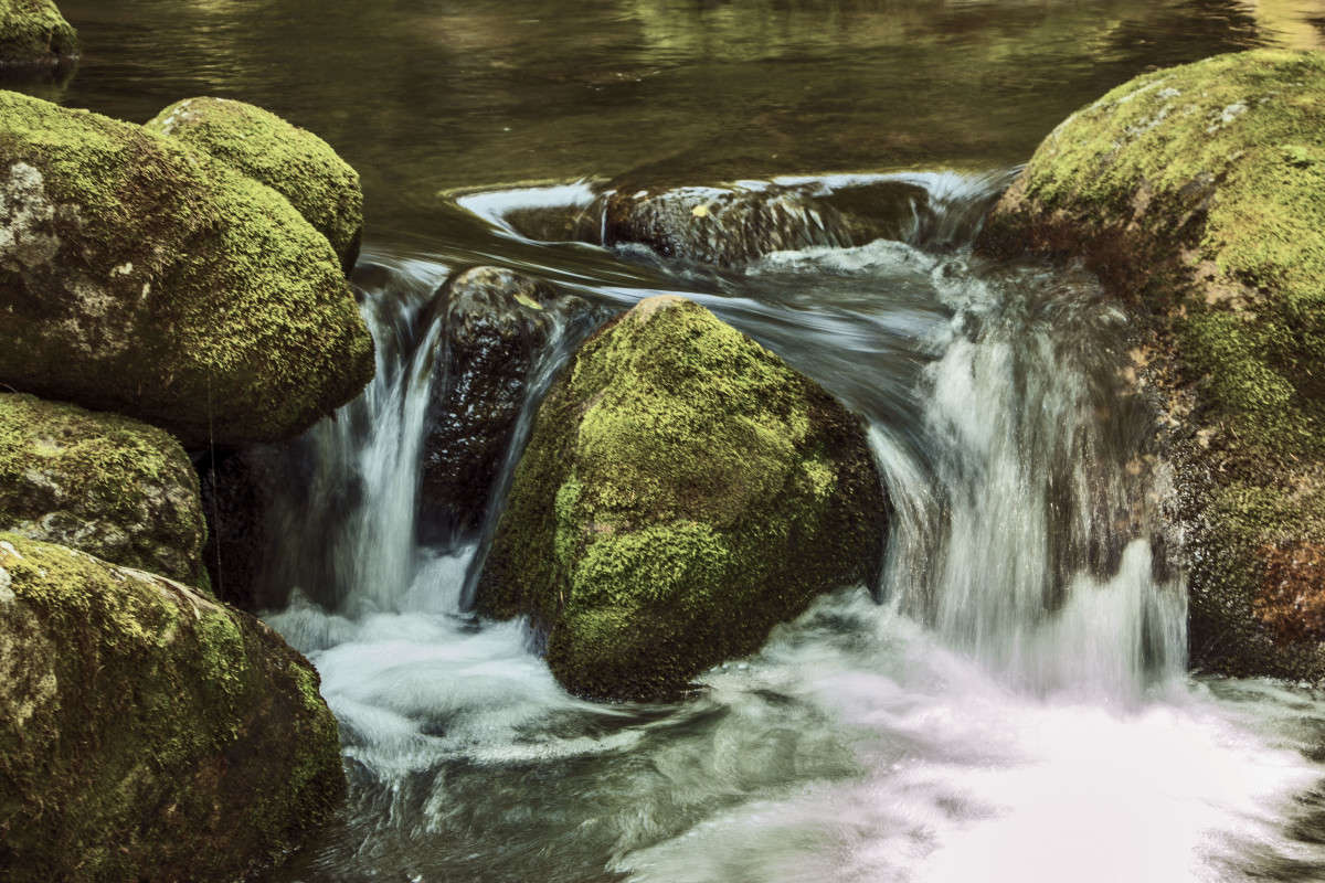 �� ������ ����� ���� �������� �� PhotoGeek.ru #������ ��� �������