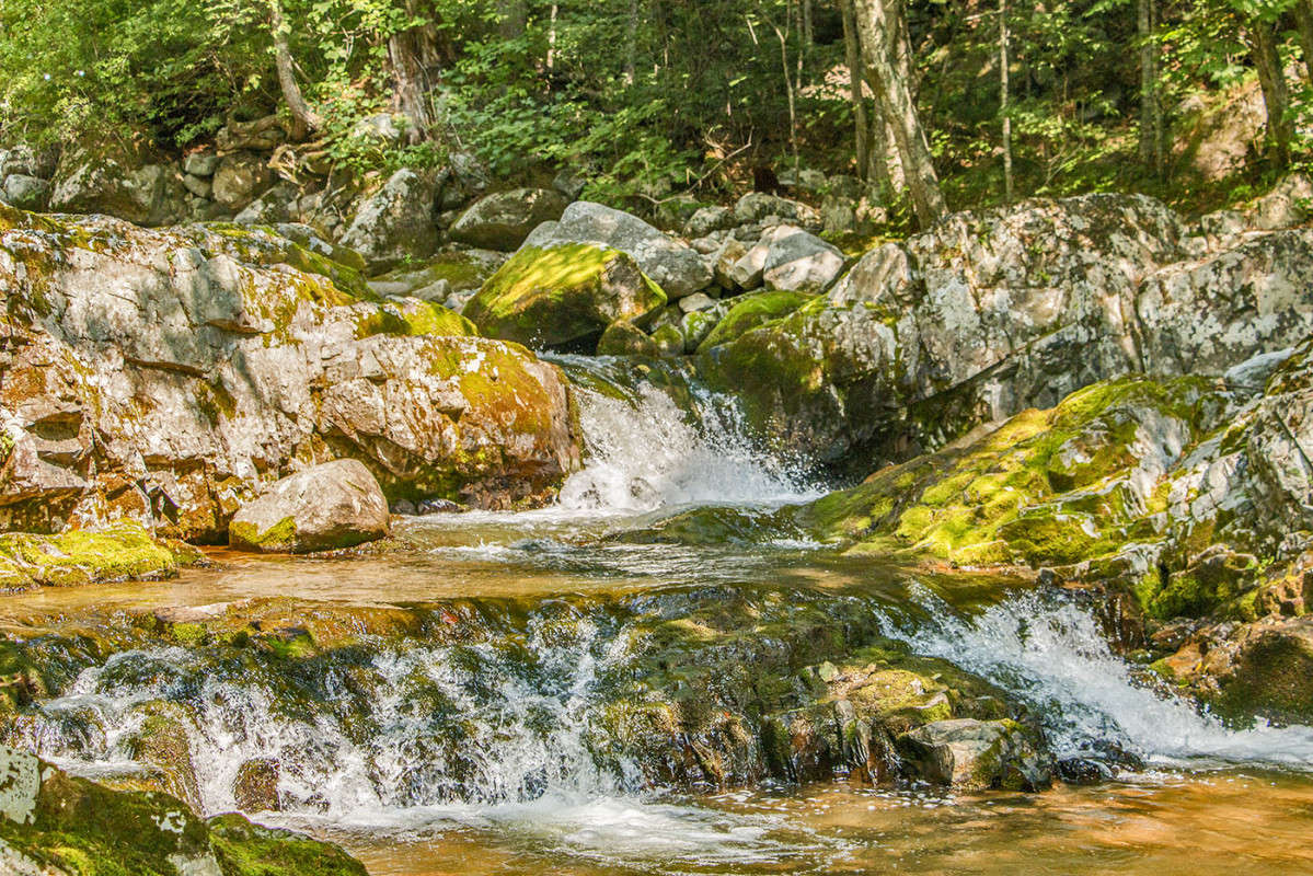 �� ������ ����� ���� �������� �� PhotoGeek.ru #������ ��� �������