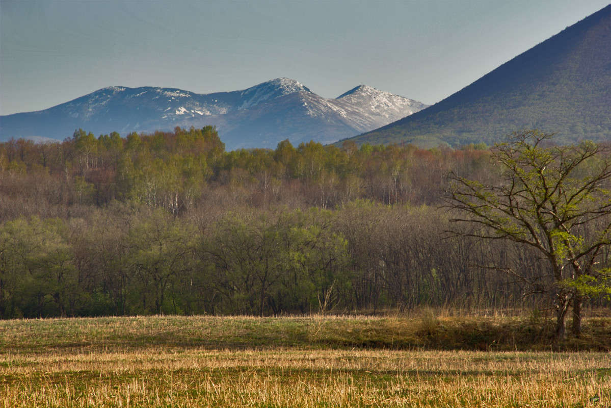 �� ������... ����� ���� �������� �� PhotoGeek.ru #������ ��� �������