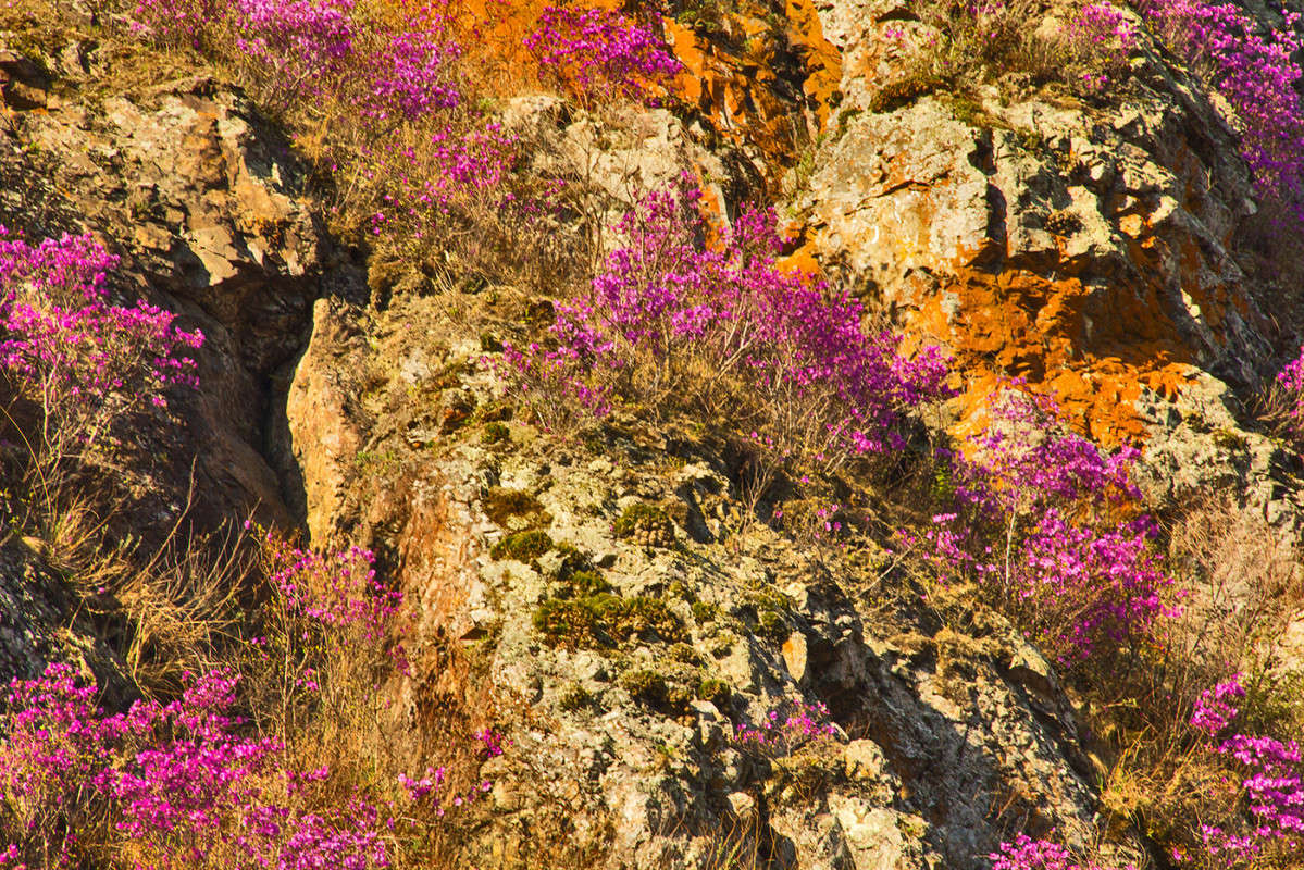 �� ������... ����� ���� �������� �� PhotoGeek.ru #������ ��� ������� #����� �������������� #����� ��������