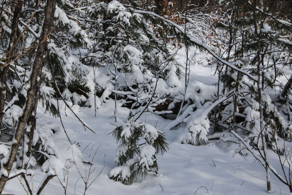 �����, �� ������ � ����� ����� ����� ���� �������� �� PhotoGeek.ru #������ ��� �������