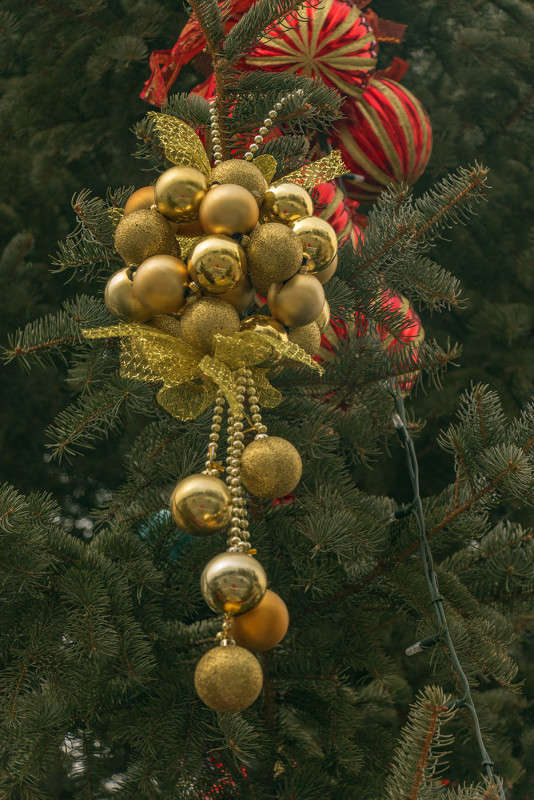 ... ����� ���� �������� �� PhotoGeek.ru #������ ��� �������