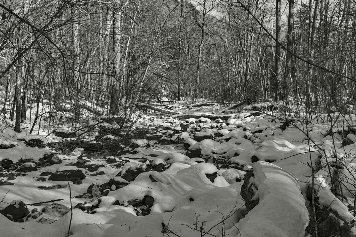 ����� � ����� �������� �����... ����� ���� �������� �� PhotoGeek.ru #������ ��� �������