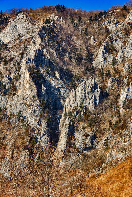 ��� �������� ����� ���� �������� �� PhotoGeek.ru #������ ��� �������