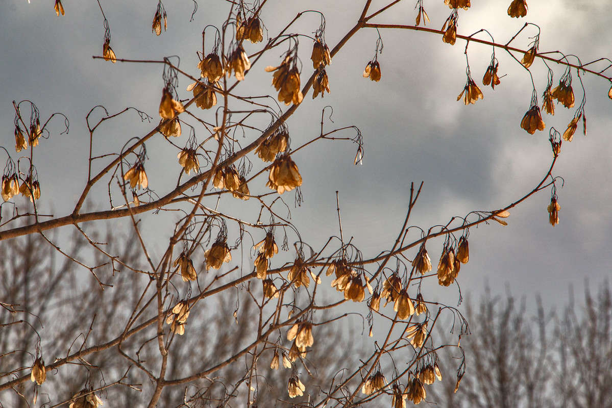 � �����...�������... ����� ���� �������� �� PhotoGeek.ru #������ ��� �������