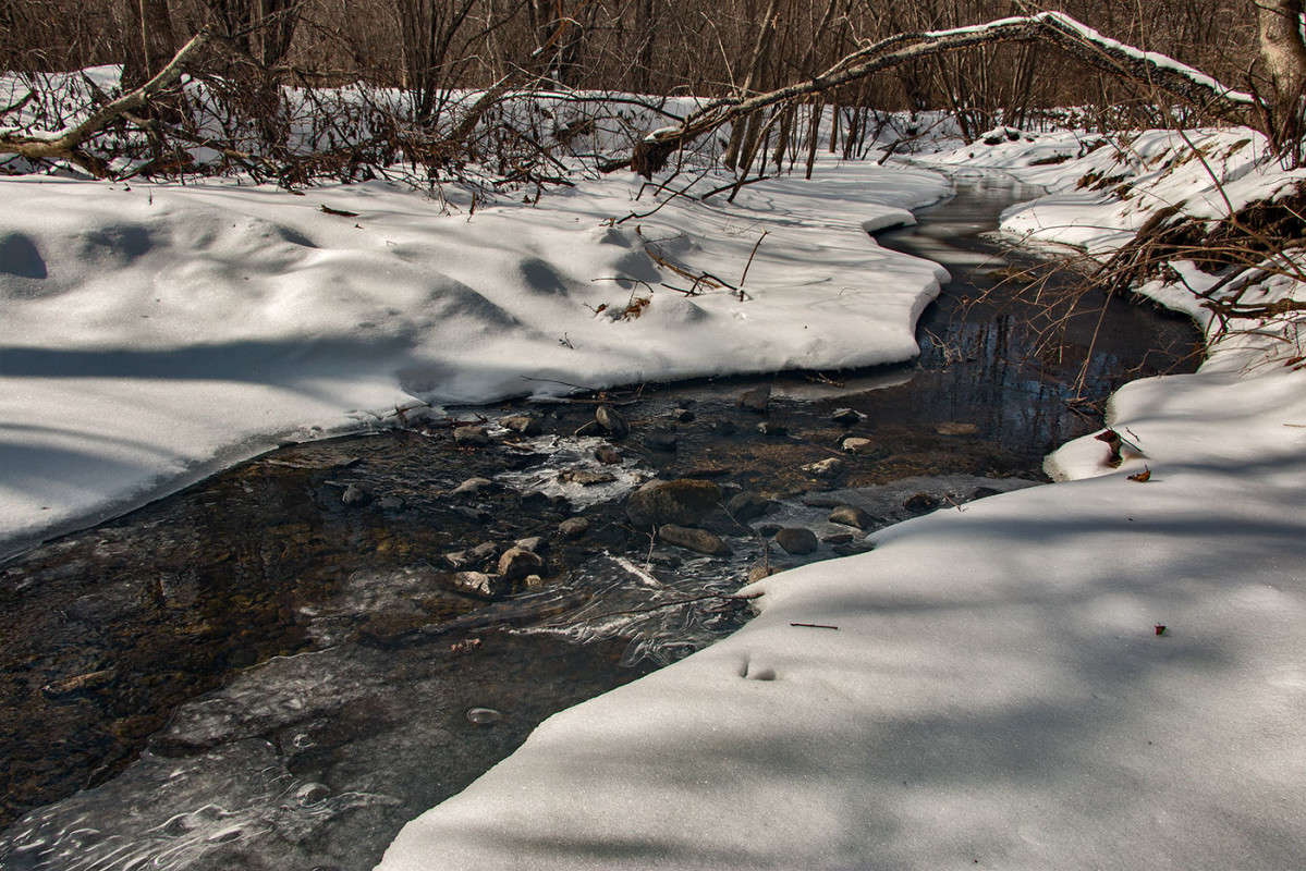 � �����...�������... ����� ���� �������� �� PhotoGeek.ru #������ ��� �������