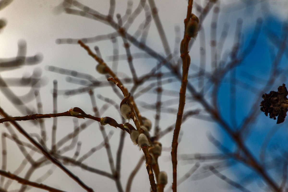 ����� � ����... ����� ���� �������� �� PhotoGeek.ru #������ ��� �������