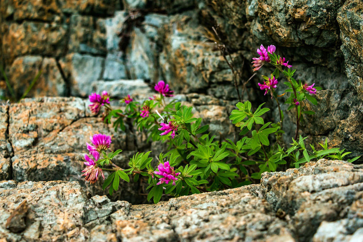 � ����.������ �� ������. ����� ���� �������� �� PhotoGeek.ru #������ ��� ������� #����� �������������� #��������� #����� ��������