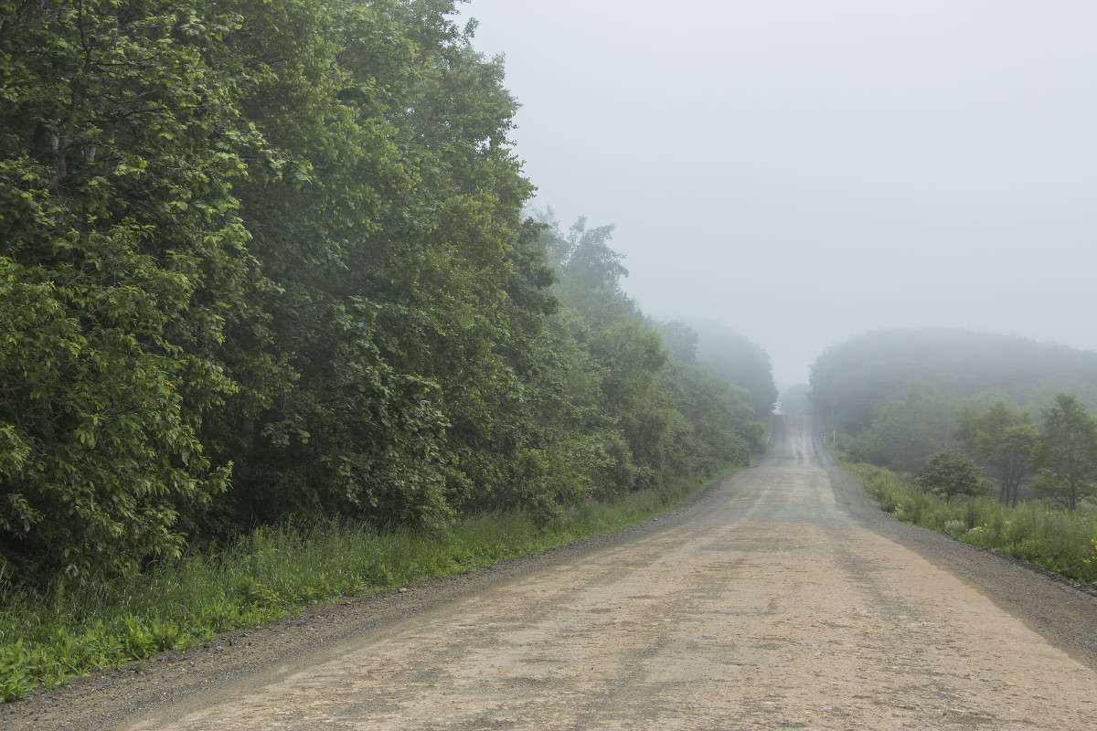 ������ ��� �����... ����� ���� �������� �� PhotoGeek.ru #������ ��� �������