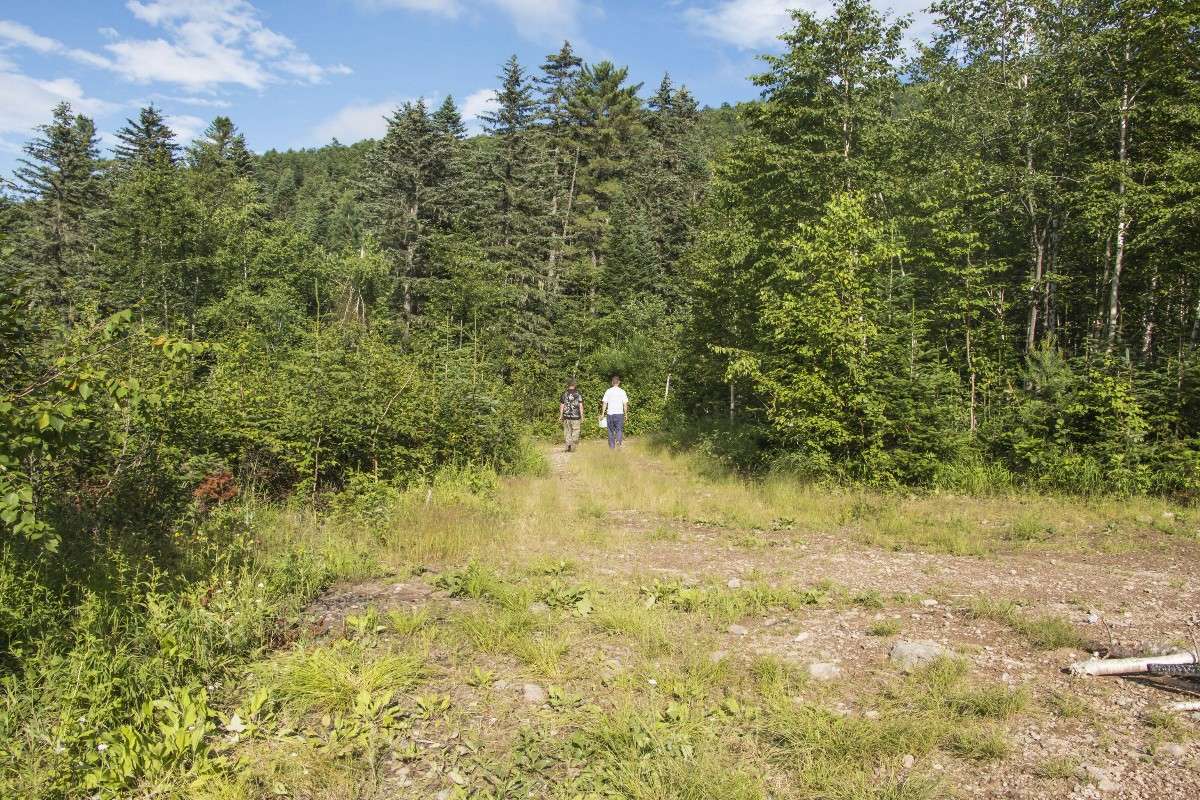 �� ��������... ����� ���� �������� �� PhotoGeek.ru #������ ��� �������