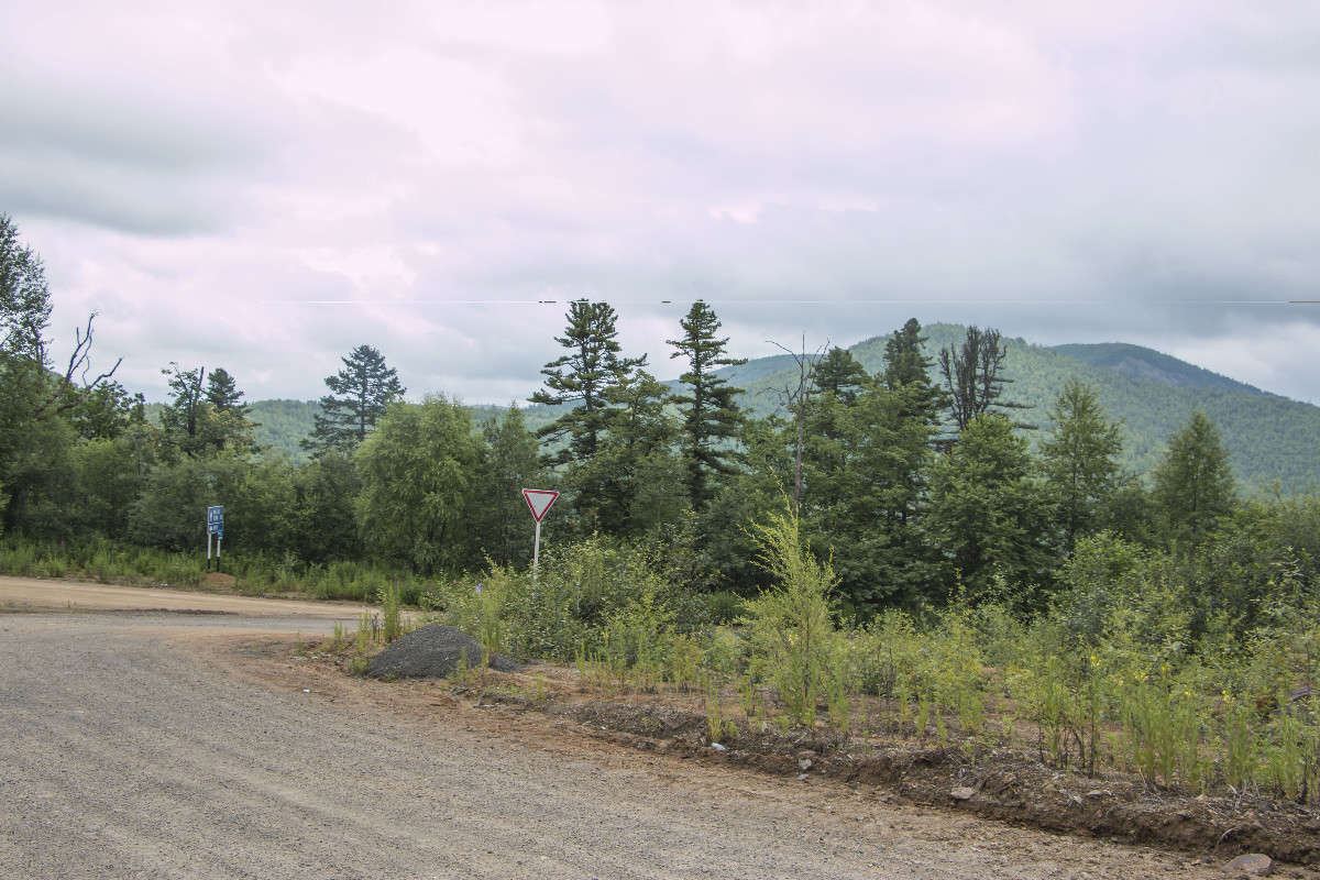 ������� ������� ����� ���� �������� �� PhotoGeek.ru #������ ��� ������� #������