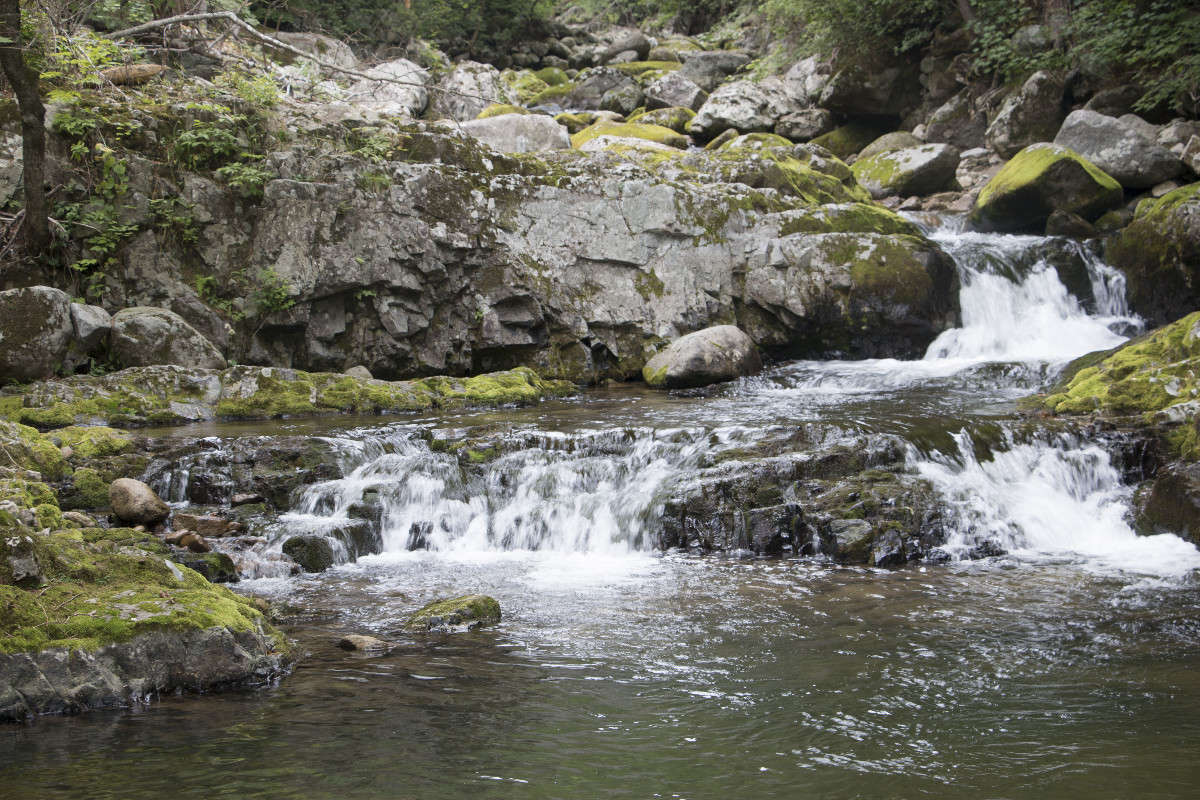 ����� �� ���� ����� ���� �������� �� PhotoGeek.ru #������ ��� ������� #���������