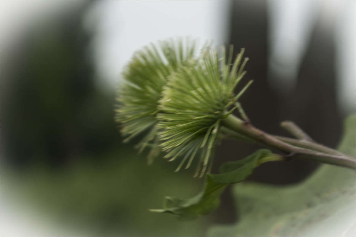 ... ����� ���� �������� �� PhotoGeek.ru #������ ��� ������� #����� ��������������