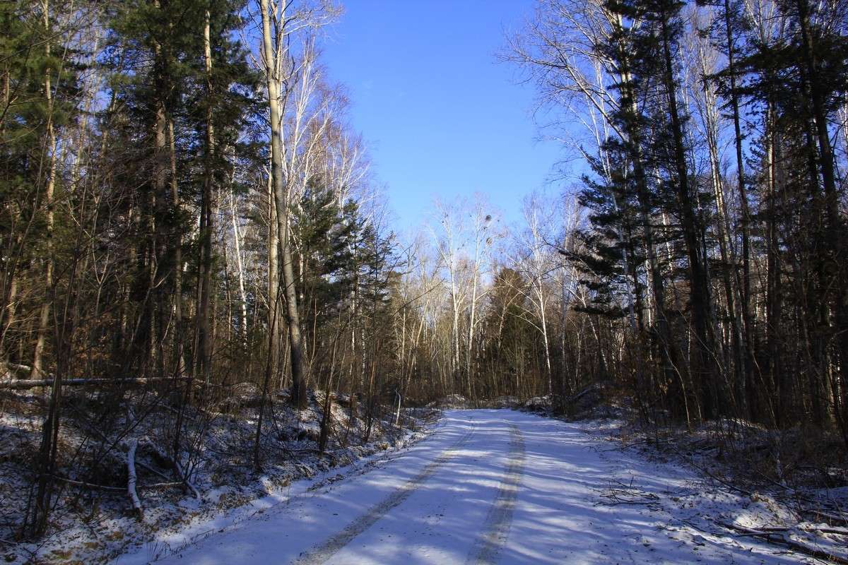 ... ����� ���� �������� �� PhotoGeek.ru #������ ��� ������� #���������